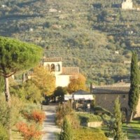 Cortona Winery - Wine Paths